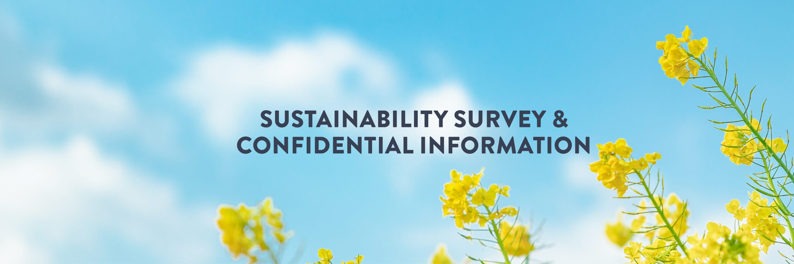 Sustainable Trading Sustainability Survey